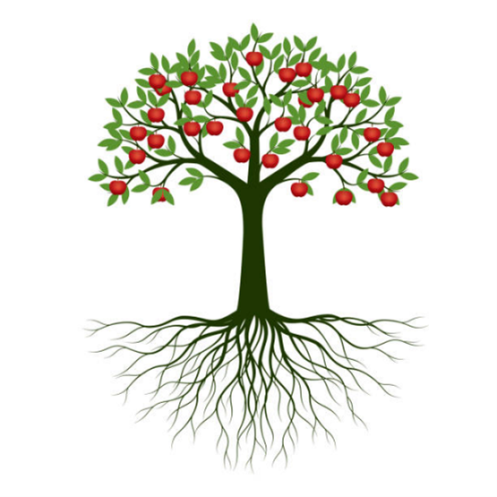 Paul's tree